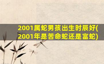 2001属蛇男孩出生时辰好(2001年是苦命蛇还是富蛇)