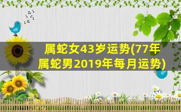 属蛇女43岁运势(77年属蛇男2019年每月运势)