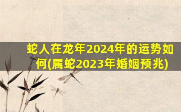 蛇人在龙年2024年的运势