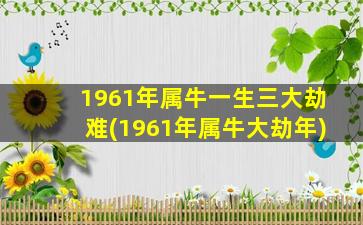 1961年属牛一生三大劫难