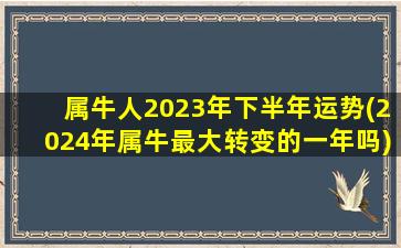 属牛人2023年下半年运势