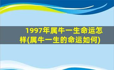 1997年属牛一生命运怎样