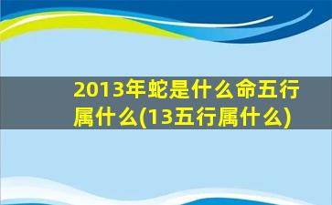 2013年蛇是什么命五行属什么(13五行属什么)