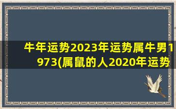 牛年运势2023年运势属牛男1973(属鼠的人2020年运势及运程)