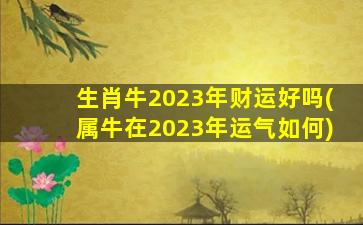 生肖牛2023年财运好吗(属