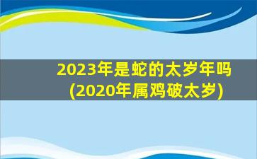 2023年是蛇的太岁年吗(20