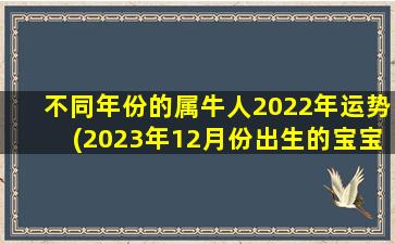 不同年份的属牛人2022年