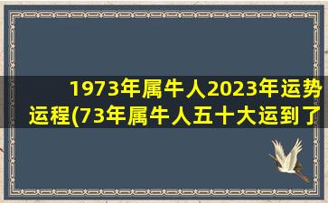 1973年属牛人2023年运势运