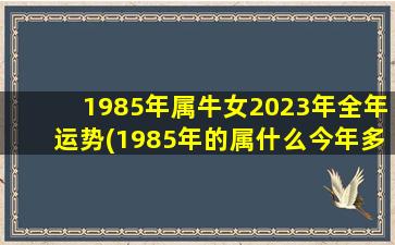 1985年属牛女2023年全年运势