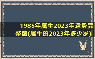 1985年属牛2023年运势完整版