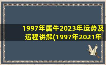 1997年属牛2023年运势及运程