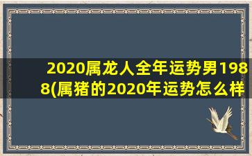 2020属龙人全年运势男198