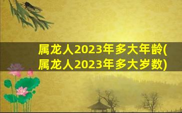 属龙人2023年多大年龄(属