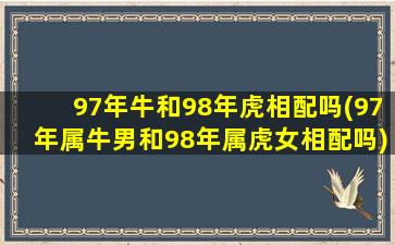 97年牛和98年虎相配吗(