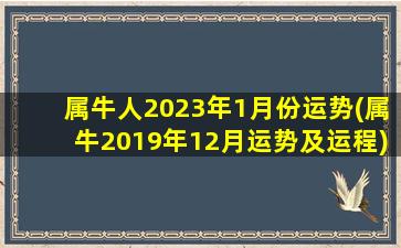 属牛人2023年1月份运势