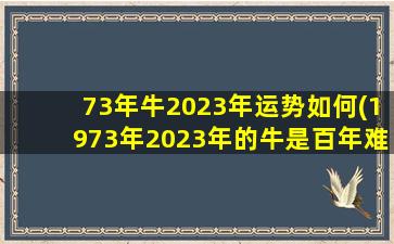 73年牛2023年运势如何(197