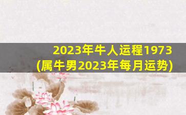 2023年牛人运程1973(属牛男