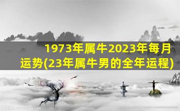 1973年属牛2023年每月运势(23年属牛男的全年运程)