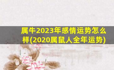 属牛2023年感情运势怎么样(2020属鼠人全年运势)