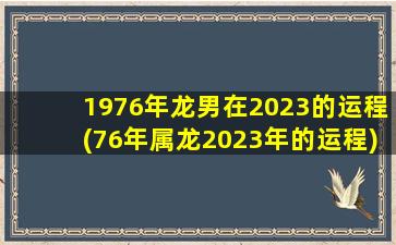 1976年龙男在2023的运程