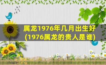 属龙1976年几月出生好(19