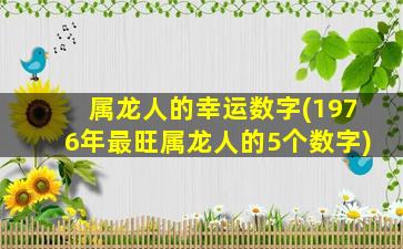 属龙人的幸运数字(1976年最旺属龙人的5个数字)