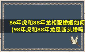 86年虎和88年龙相配婚姻如何(98年虎和88年龙是断头婚吗)