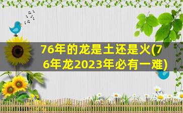 76年的龙是土还是火(76年龙2023年必有一难)