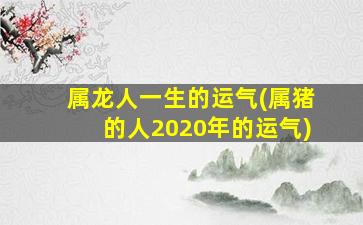 属龙人一生的运气(属猪的人2020年的运气)