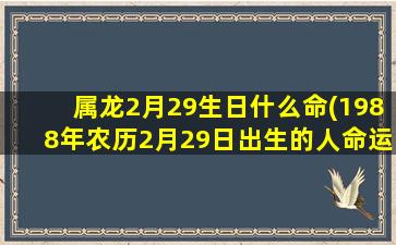 属龙2月29生日什么命(1988年农历2月29日出生的人命运)