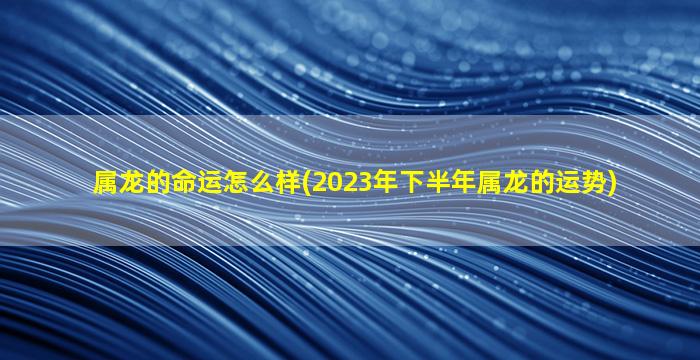 属龙的命运怎么样(2023年下