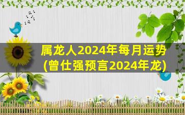 属龙人2024年每月运势(曾仕强预言2024年龙)