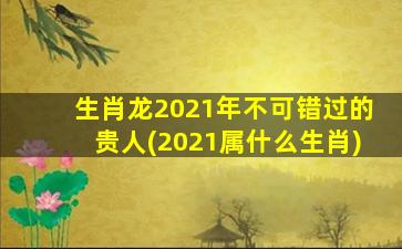 生肖龙2021年不可错过的贵