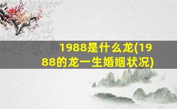 1988是什么龙(1988的龙一生婚姻状况)