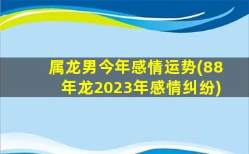 属龙男今年感情运势(88年