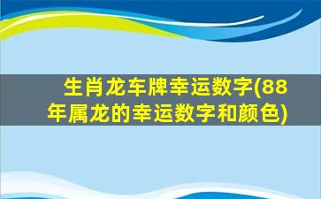 生肖龙车牌幸运数字(88年