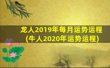 龙人2019年每月运势运程(牛人2020年运势运程)