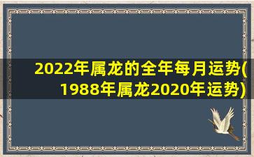 2022年属龙的全年每月运