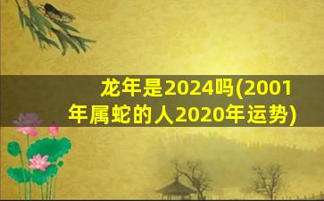 龙年是2024吗(2001年属蛇的人2020年运势)