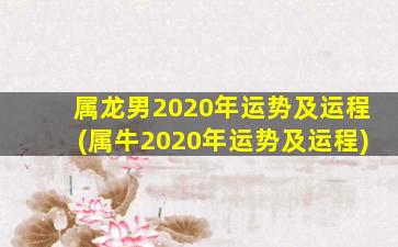 属龙男2020年运势及运程