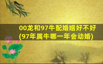 00龙和97牛配婚姻好不好(97年属牛哪一年会动婚)