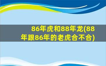 86年虎和88年龙(88年跟8