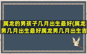 <strong>属龙的男孩子几月出生最</strong>