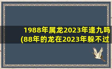 1988年属龙2023年逢九吗