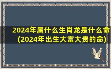 2024年属什么生肖龙是什