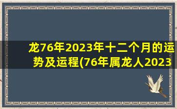 龙76年2023年十二个月的运