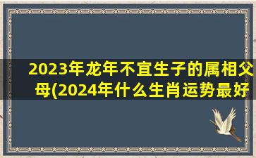 2023年龙年不宜生子的属