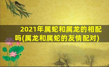 2021年属蛇和属龙的相配吗(属龙和属蛇的友情配对)