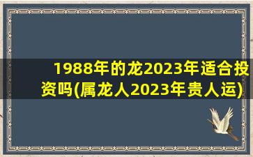 1988年的龙2023年适合投资吗