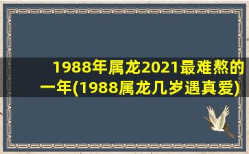 1988年属龙2021最难熬的一年